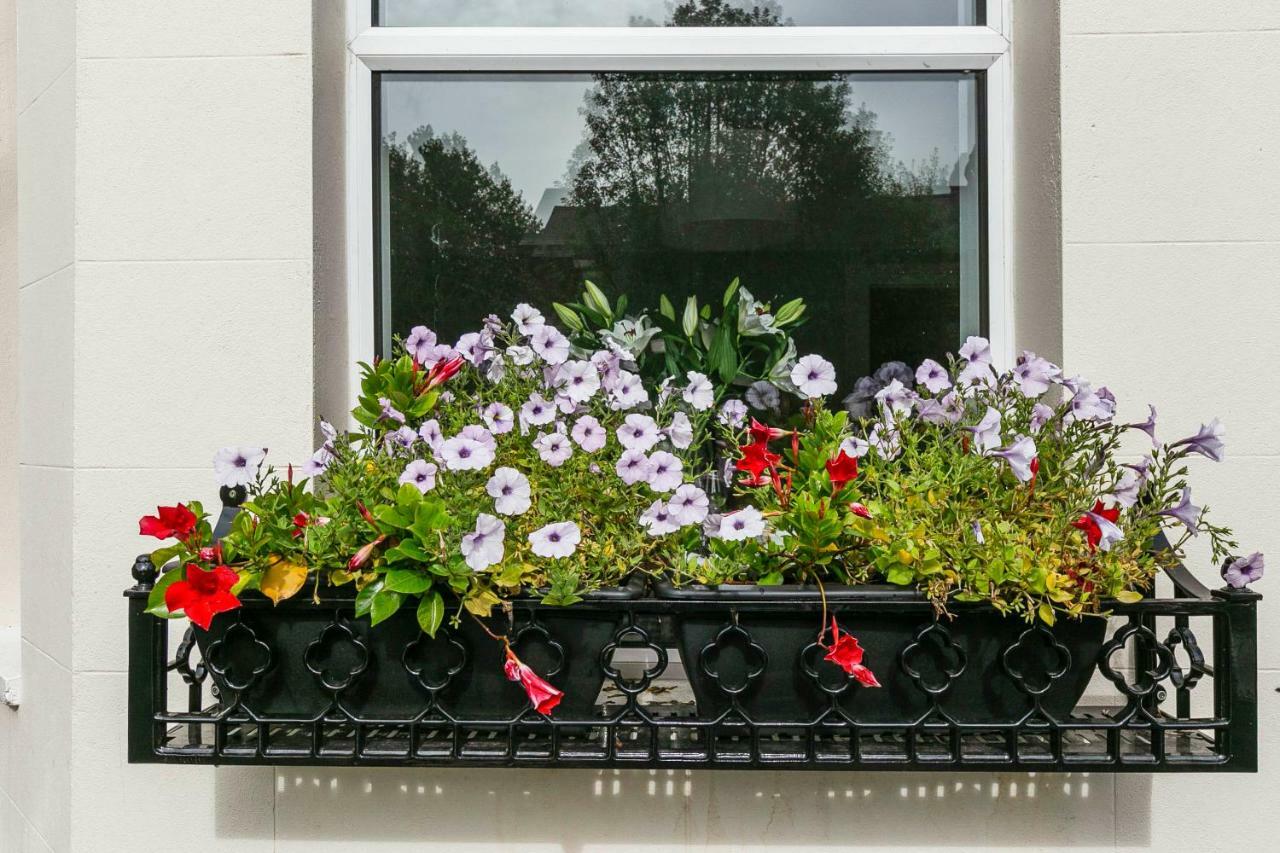 Cyprus View Apartment Belfast Eksteriør billede